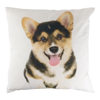 Plátěný polštář Corgi s výplní  - 50*50*10cm GKKSCG