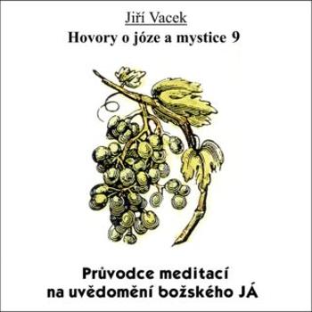 Hovory o józe a mystice č. 9 - Jiří Vacek - audiokniha
