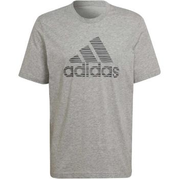 adidas ESSENTIALS SUMMER PACK SINGLE TEE Pánské triko, šedá, velikost XXL