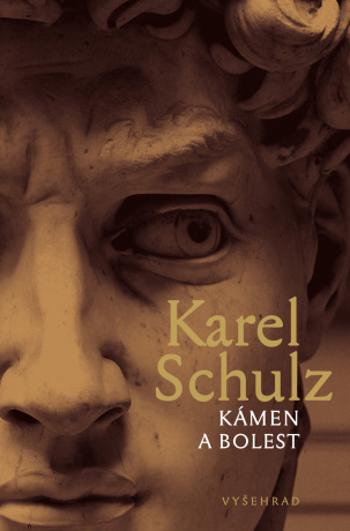 Kámen a bolest - Karel Schulz - e-kniha