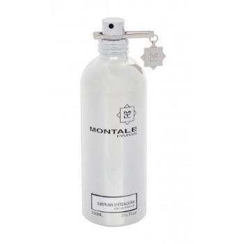 Montale Embruns D´Essaouira 100 ml parfémovaná voda unisex