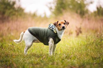 Vsepropejska Bona bunda pro psa s maskáčovou kapucí Barva: Zelená, Délka zad (cm): 26, Obvod hrudníku: 32 - 38 cm