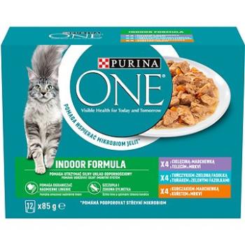 Purina One indoor multipack lahodný výběr ve šťávě 12 × 85 g (7613287903891)