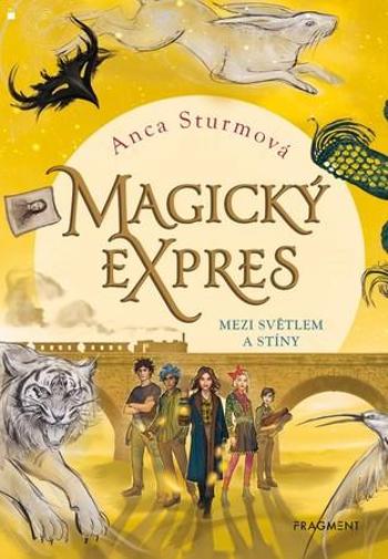 Magický expres Mezi světlem a stíny - Sturmová Anca