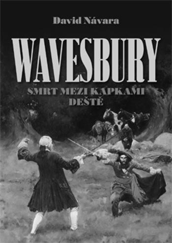 Wavesbury: Smrt mezi kapkami deště - David Návara - e-kniha