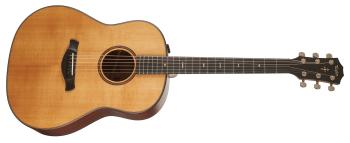 Taylor Builders Edition 517e