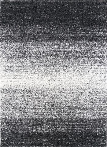 Berfin Dywany Kusový koberec Aspect 1726 Grey - 200x290 cm Šedá