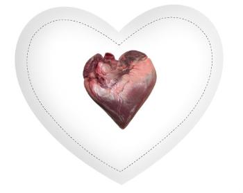 Polštář Srdce Srdce