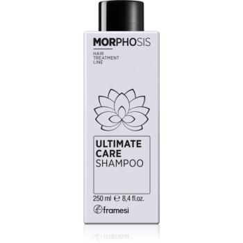 Framesi Morphosis Ultimate Care revitalizační šampon 250 ml