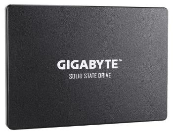 GIGABYTE 256GB, SSD, GP-GSTFS31256GTND, GP-GSTFS31256GTND