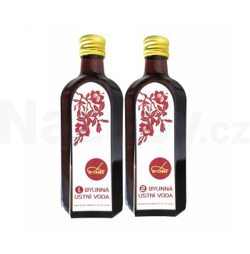 Bylinná ústní voda Dr. Landy 2x250 ml