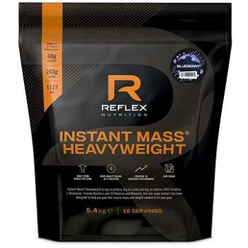 Reflex Instant Mass Heavy Weight 5,4 kg borůvka (5033579001470)