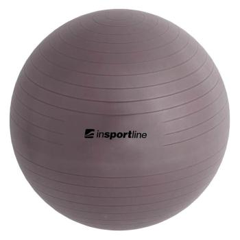 Gymnastický míč inSPORTline Top Ball 45 cm Barva šedá