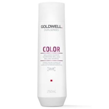 Goldwell Šampon pro normální až jemné barvené vlasy Dualsenses Color (Brilliance Shampoo) 250 ml, mlml