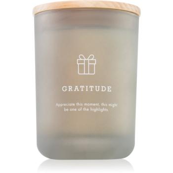 DW Home Hygge Gratitude vonná svíčka 210 g