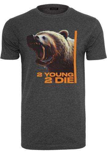 Mr. Tee 2 Young 2 Die Tee charcoal - 3XL