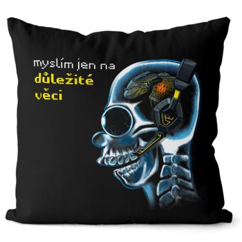 Polštář Důležité věci – gamer (Velikost: 40 x 40 cm)