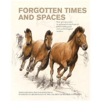 Forgotten Times and Spaces (978-80-210-7781-2)