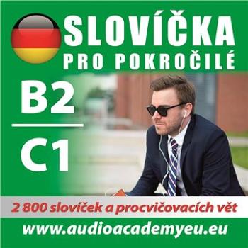 Němčina - slovíčka B2/C1 ()