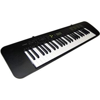 CASIO CTK 240 (CTK 240)