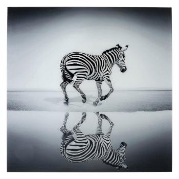 Skleněný obraz Savanne Zebra 120×120 cm