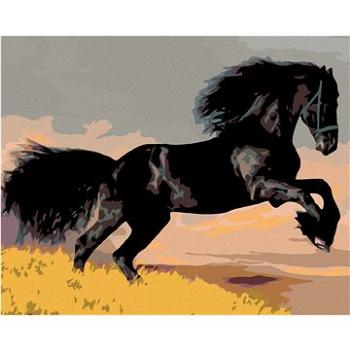 Malování podle čísel - Černý kůň (HRAmal00706nad)