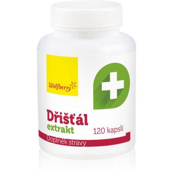 Wolfberry Dřišťál extrakt BIO kapsle pro udržení normální hladiny cholesterolu 120 cps