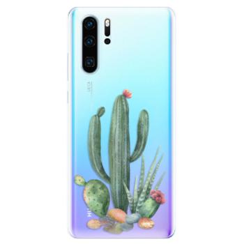 Odolné silikonové pouzdro iSaprio - Cacti 02 - Huawei P30 Pro