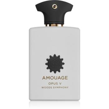 Amouage Opus V: Woods Symphony parfémovaná voda unisex 100 ml