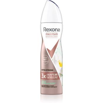 Rexona Maximum Protection Lime & Waterlily Scent antiperspirant proti nadměrnému pocení 150 ml