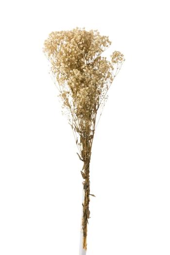 Svazek přírodní sušené trávy Gypsophila - 10*5*84 cm 12367