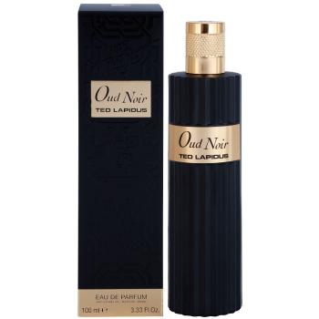 Ted Lapidus Oud Noir parfémovaná voda unisex 100 ml