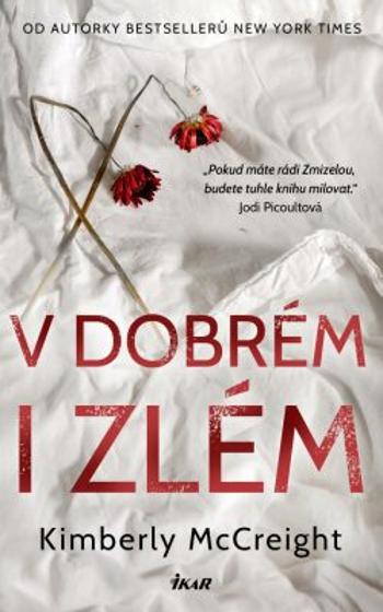 V dobrém i zlém - Kimberly McCreight