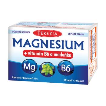 MAGNESIUM + vitamin B6 a meduňka