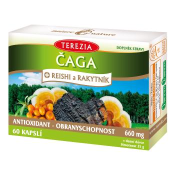 Čaga + reishi a rakytník