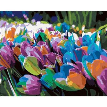 Diamondi - Diamantové malování - DUHOVÉ TULIPÁNY, 40x50 cm, Vypnuté plátno na rám (606949B)