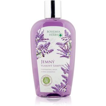 Bohemia Gifts & Cosmetics Bohemia Herbs Lavender vlasový šampon 250 ml