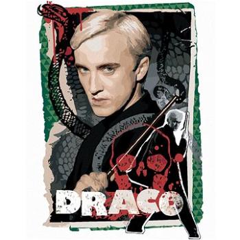 Karta draco malfoy (Harry Potter), 40×50 cm, bez rámu a bez vypnutí plátna (6063450)