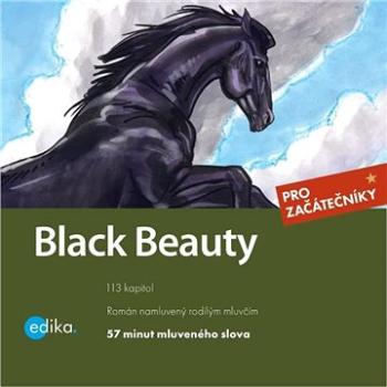 Black Beauty ()