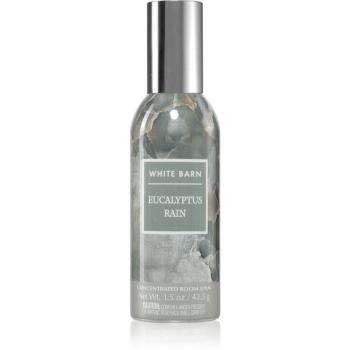 Bath & Body Works Eucalyptus Rain bytový sprej 42,5 g