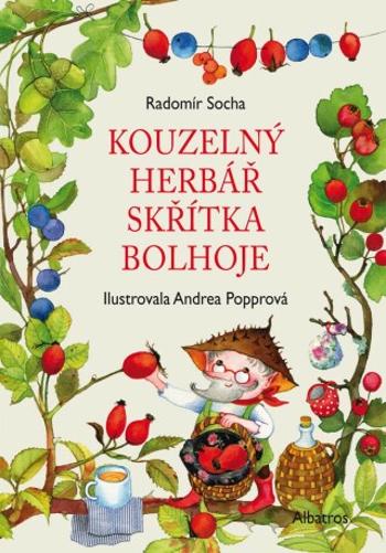 Kouzelný herbář skřítka Bolhoje - Radomír Socha - e-kniha