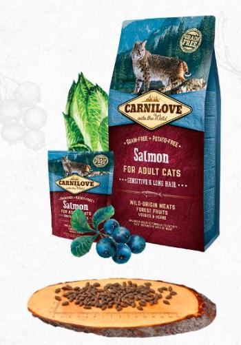 CARNILOVE cat   ADULT salmon - 2kg