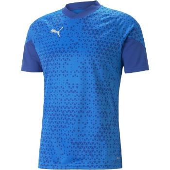 Puma TEAMCUP TRAINING JERSEY TEE Pánský dres, světle modrá, velikost