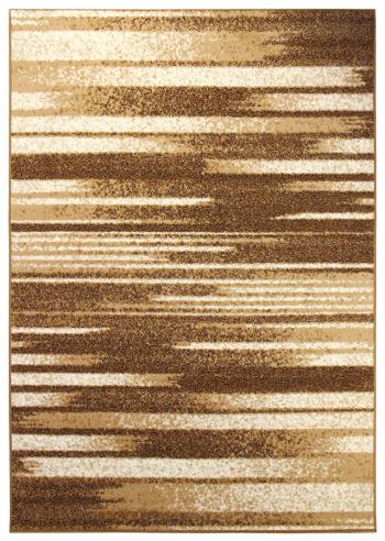 Sintelon koberce Kusový koberec Practica A1/BEB - 240x340 cm Hnědá
