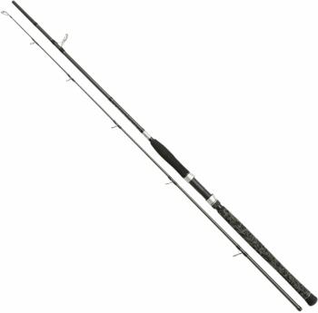 Penn Legion Cat Silver Spin Prut 2,4 m 40 - 160 g 2 díly