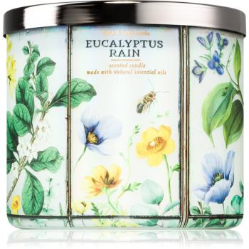 Bath & Body Works Eucalyptus Rain vonná svíčka 411 g