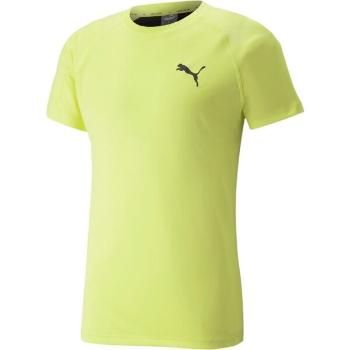 Puma RTG TEE Pánské sportovní triko, světle zelená, velikost M