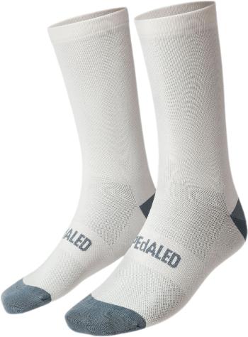 PEdALED Mirai Socks - pelican 47-49