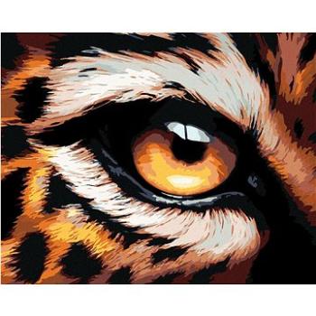 Malování podle čísel - Leopardí oko (HRAbz33257nad)