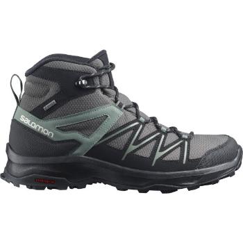 Salomon DAINTREE MID GTX Pánská turistická obuv, tmavě šedá, velikost 42